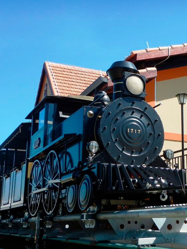 TREM DO DEVOTO