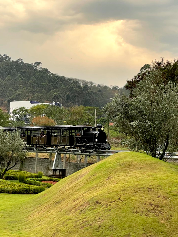CAMINHO DO ROSÁRIO